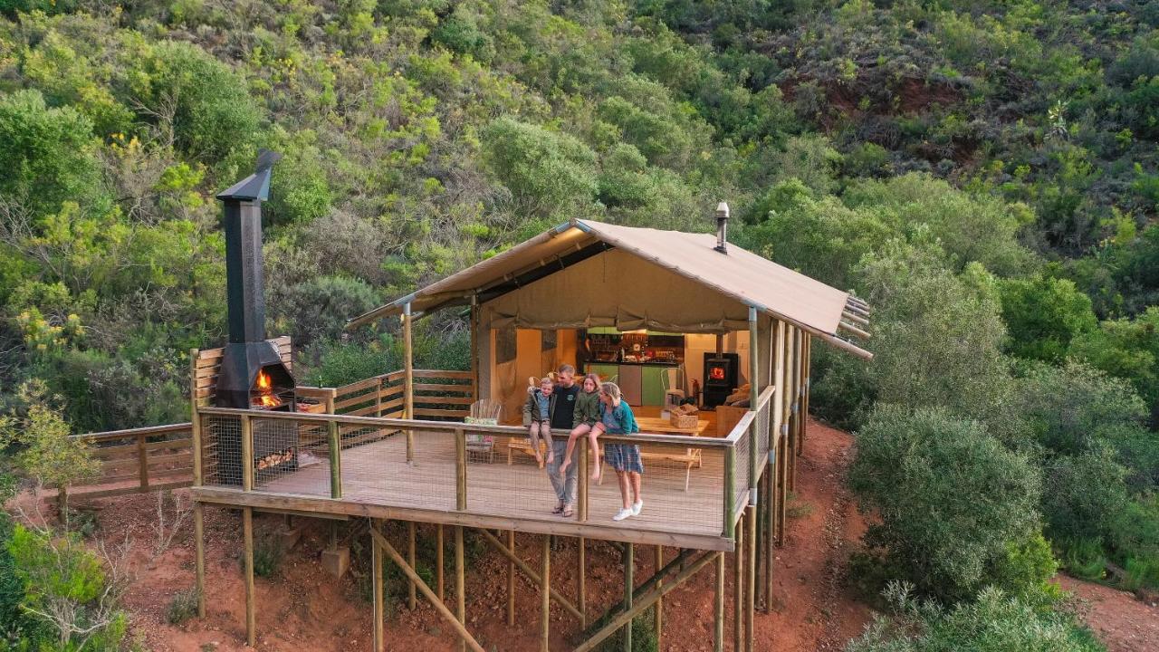 Africamps At Pat Busch Villa Robertson Eksteriør bilde
